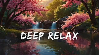 Deep Sleep Music | Relaxing Music for Stress Relief | Relaxing Music for Study | Meditation Music