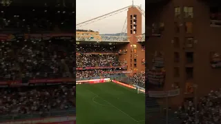 Genoa Fiorentina spettacolo sugli spalti #genoa #genoacfc #football #shortvideo #fans #shorts