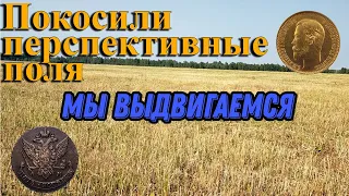 Коп монет. Сенокос НАЧАЛСЯ! Копаем перспективные поля!