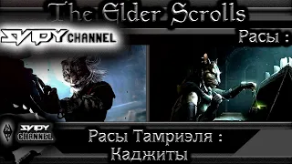 The Elder Scrolls|Расы Тамриэля: Каджиты(Лор)