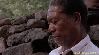 Morgan Freeman Le Ali Della Libertà Scena Finale