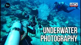 UNTV: The Dive | Puerto Galera diving adventure with underwater photographer Wayne Jones