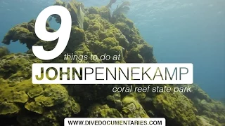 9 Things to do at John Pennekamp Coral Reef State Park