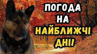 УВАГА! Скоро в Україні похолодає, але не скрізь: синоптик дала прогноз на найближчі дні