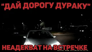 Автоподборка "Дай Дорогу Дураку"🛑Неадекват на Встречке#180