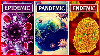 Epidemic vs Pandemic vs Endemic - Have we experienced all three?
