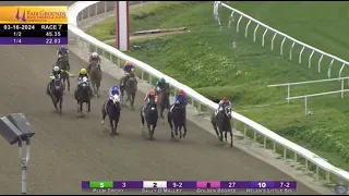 Flightning Bolt (#9) Finishes 4th on 3/16/2024 at Fair Grounds