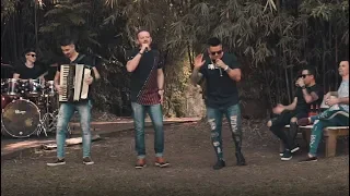 Banda Rainha Musical - Solidão com cerveja