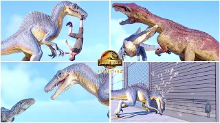 Spinoraptor All Perfect Animations & Interactions 🦖 Jurassic World Evolution 2 Hybrid Secret Species