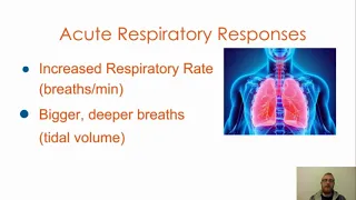 Acute Responses to exercise (1.2)