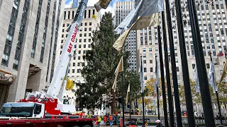 NYC Rockefeller Christmas Tree 🎄 Installed by Crane