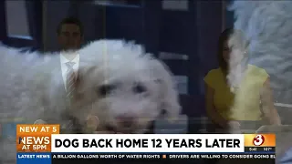 Glendale family reunites with lost dog after 12 years