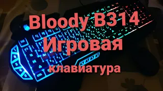 Обзор игровой клавиатуры Bloody B314