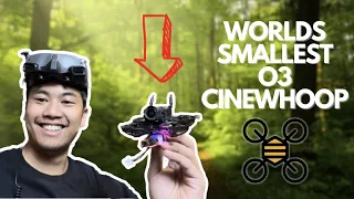 Does this TINY drone FREESTYLE? - NewBeeDrone AcroBee 75 HD 🐝