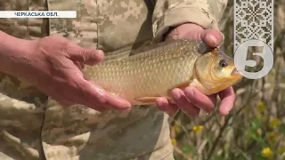 🐟Захищають рибу від браконьєрів! Річки розлилися і рибам доводиться нереститися на полях