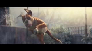 Новый рождественский ролик John Lewis 2016