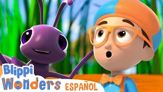 Las hormigas son geniales | Blippi Wonders | Caricaturas para niños | Videos educativos para niños