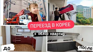 Корея влог: переезд в Корее / Обзор Корейских квартир / Реакция дочки / Корейские суеверия