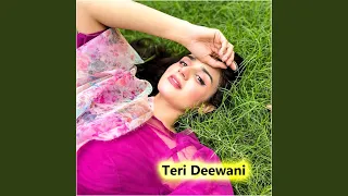 Teri Deewani