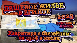 Жизнь в Египте | как найти квартиру | Хургада 2023