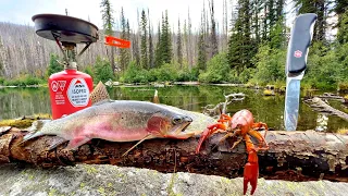 SOLO Mountain Trout Fishing & WILD Crawfish Boil!!! (Catch, Cook, Camp)