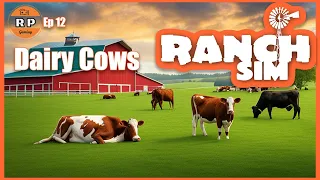 Master Dairy Cow Skills in Ranch Simulator