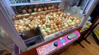 Japanese Food Tour on the Hilarious Onion Island of Japan