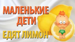 Маленькие дети едят лимон