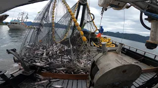 Salmon Fishing in Alaska - Big 20k lb Set !