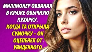 🟢 Миллионер обвинил в краже обычную кухарку 📣 Когда та открыла сумочку – он оцепенел от увиденного