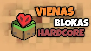 MINECRAFT VIENAS BLOKAS HARDCORE!