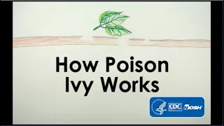 How Poison Ivy Works