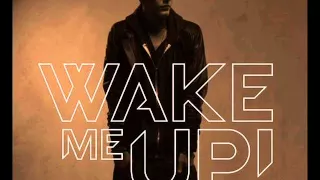 My Cover Of Avicii Wake Me Up Ft. Mike Einziger