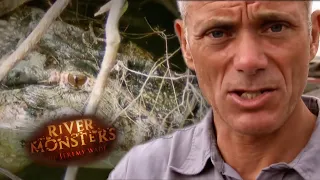 Attacked By A VICIOUS Caiman | HORROR STORY | River Monsters