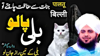 Bili Palna - Janwar Palna Kaisa Hai? | New Bayan Peer Ajmal Raza Qadri 2024 - Pir Ajmal Qadri 2024