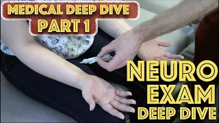 Neurological Examination of The Limbs Explained  - Appearance and Muscle Tone - Dr Gill