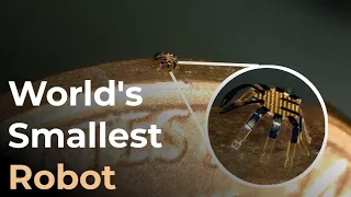 The World's Smallest Remote-controlled Walking Crab Robot