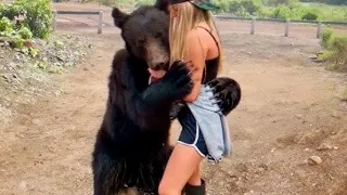 Most Emotional Animal Reunions With Owners After Years !