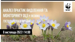 Аналіз практик виділення та моніторингу ОЦЗ у лісових господарствах України