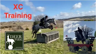 Cross-Country Training on my Young Irish Draught Horse - XC at Deer Park Cotswold | Equestrian