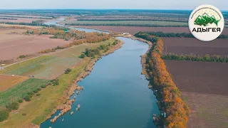 Ловля карпа и амура осенью на красивом водоеме. Тактика и особенности ловли. Спортивный карпфишинг!