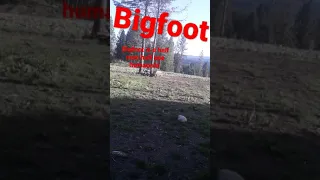 Bigfoot #AreYouScared