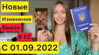 Вывоз ЖИВОТНЫХ заграницу! Документы,ОСТОРОЖНО РАЗВОД НА ДЕНЬГИ 💰Личный опыт