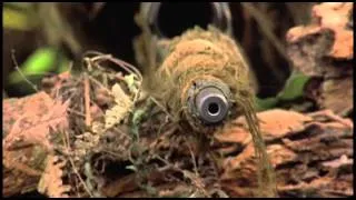 Sniper (1993) First Kill Scene