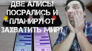 Две Алисы поругались и захватывают мир?