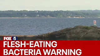 Rare, flesh-eating bacteria linked to Long Island Sound