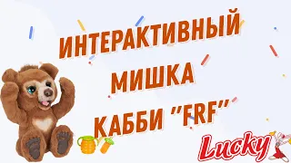 Интерактивная мягкая игрушка FurReal Friends "Русский мишка" Cubby от Hasbro (E4591)