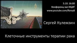 Сергей Кулемзин "Клеточные инструменты терапии рака"