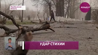 Сильнейший буран обрушился на Жамбылскую область - пострадали люди
