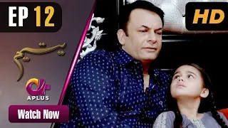 Yateem - EP 12 | Aplus| Sana Fakhar, Noman Masood, Maira Khan | Pakistani Drama | C2V1